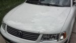 Land vehicle Vehicle Car Volkswagen Volkswagen passat